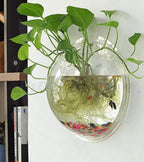 Cuenco para Plantas Colgante de Pared Estilo Burbuja