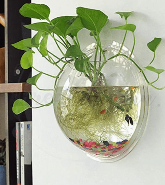 Cuenco para Plantas Colgante de Pared Estilo Burbuja