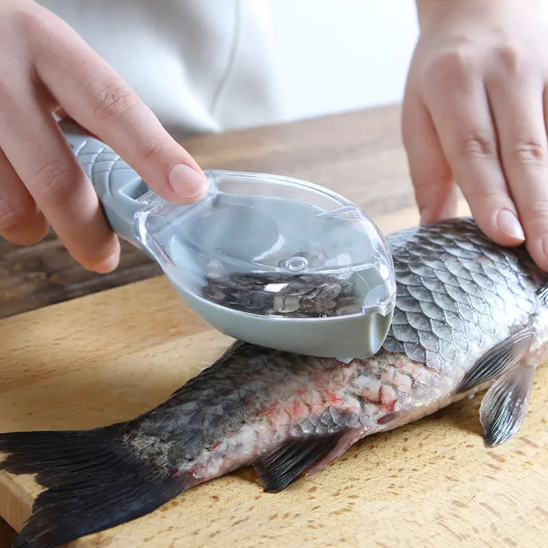 Raspador de plástico para escamas de pescado